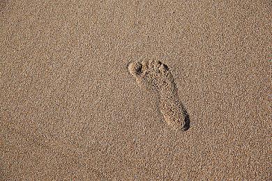 本周Fami通游戏评分出炉 《刺客信条：幻景》获33分